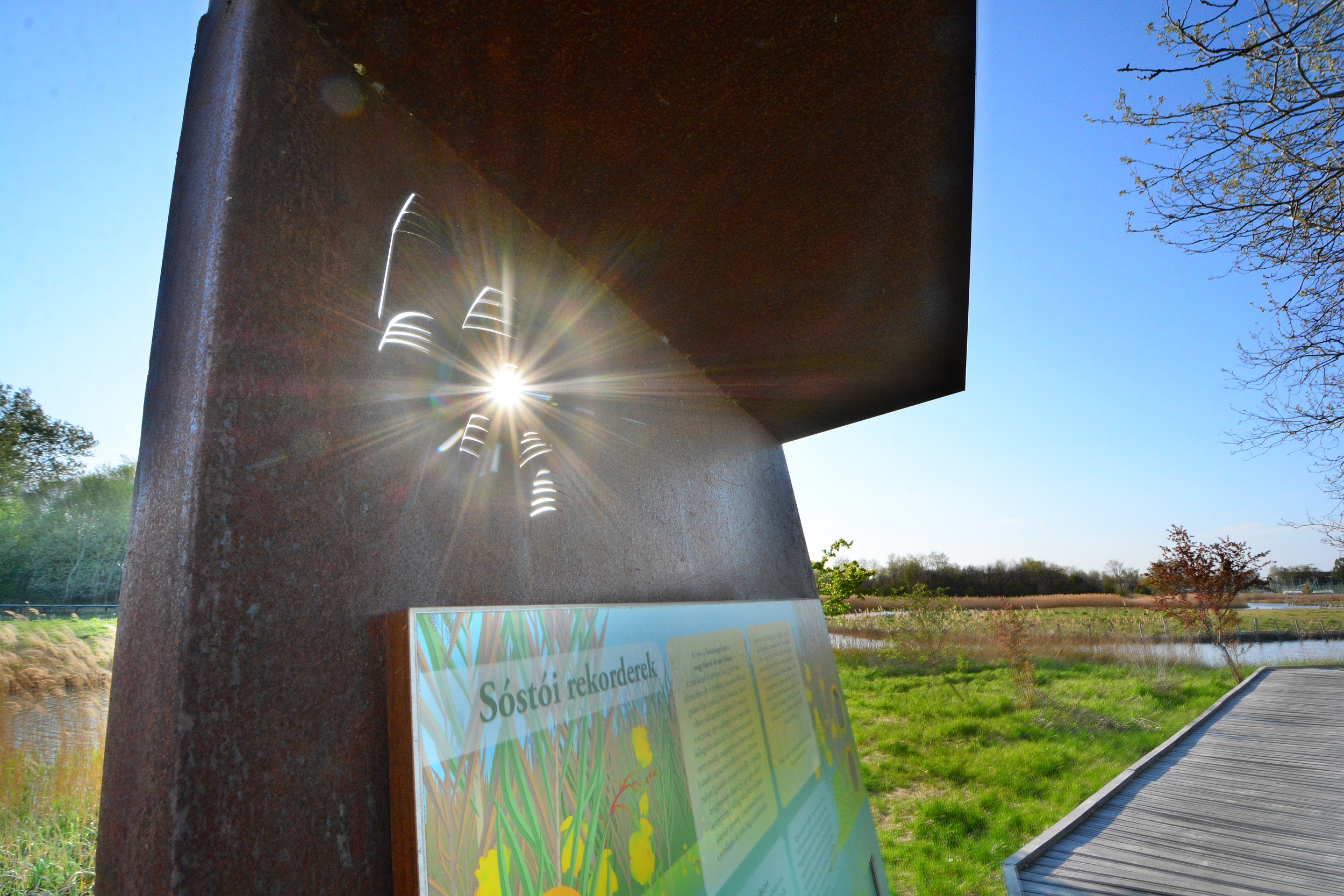 Természet a város ölelésében - fotópályázat a Sóstó Természetvédelmi Területről